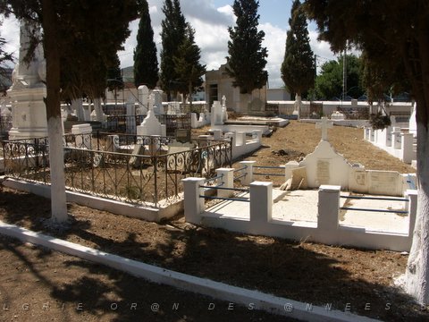BOU SFER CIMETIERE 2006  N02 ENTRETENU.JPG